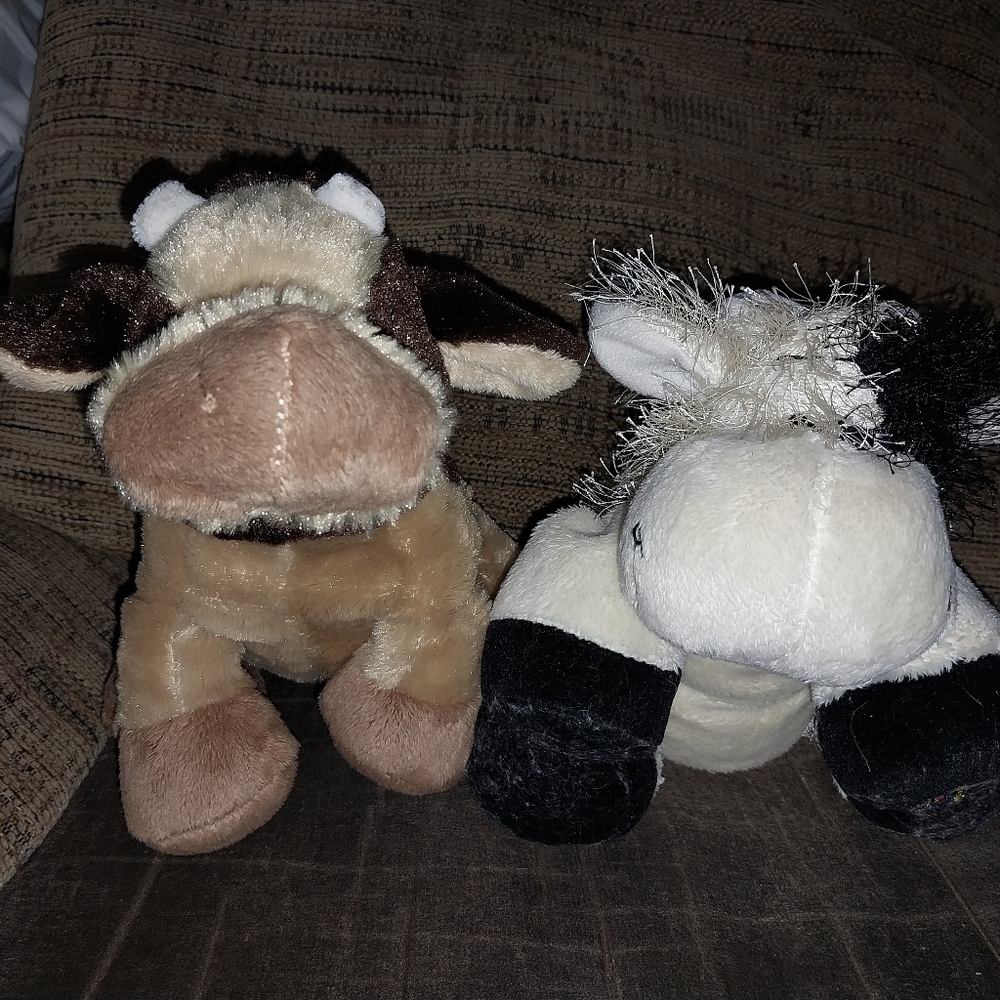 Webkin Cows